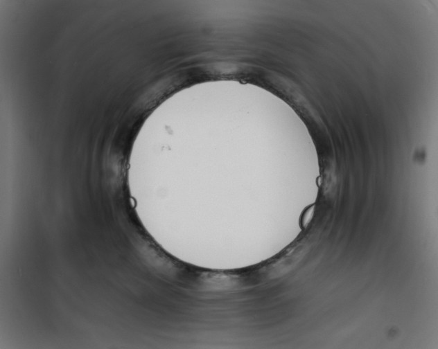 X0000100310476200807031151