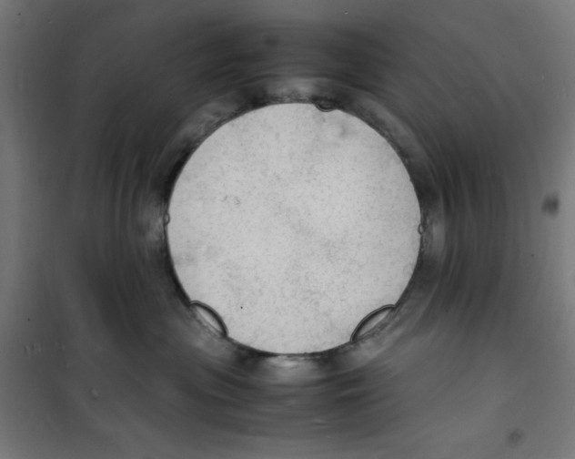 X0000100310477200807031151