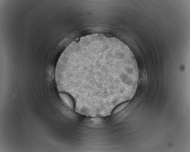 X0000100310478200807031151