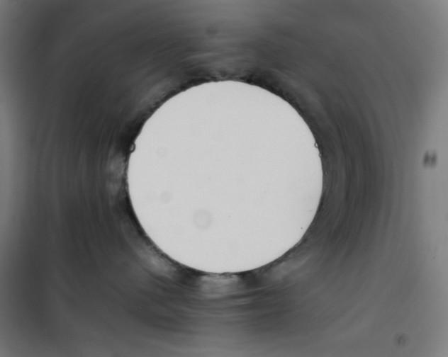 X0000100310480200807031151