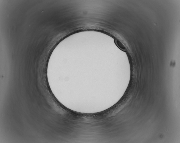 X0000100310481200807031150