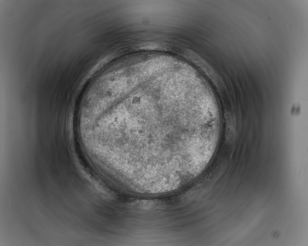 X0000100310482200807031150
