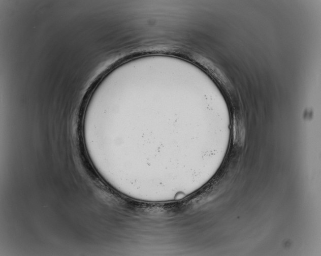 X0000100310483200807031150
