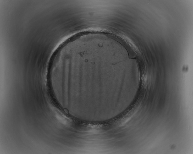 X0000100310484200807031150
