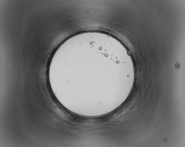 X0000100310485200807031150