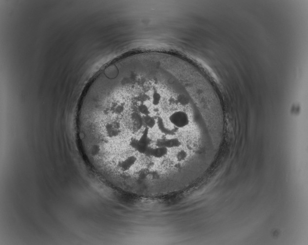 X0000100310487200807031150
