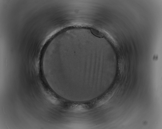 X0000100310488200807031150