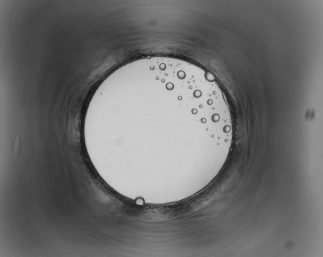 X0000100310489200807031150