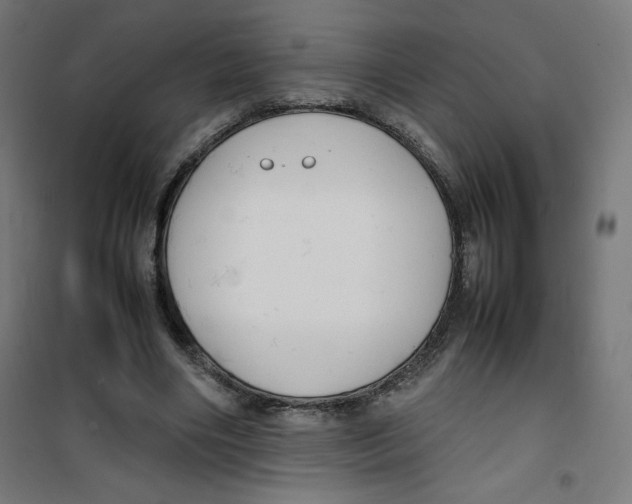 X0000100310490200807031150