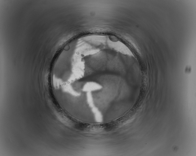 X0000100310491200807031150