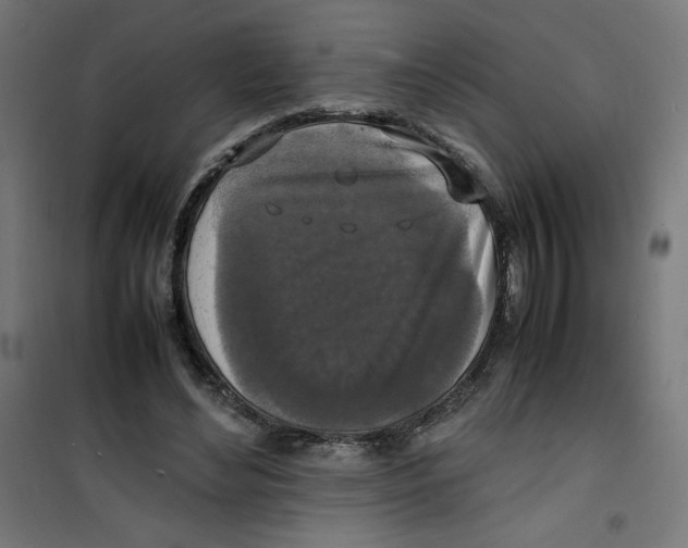 X0000100310492200807031150