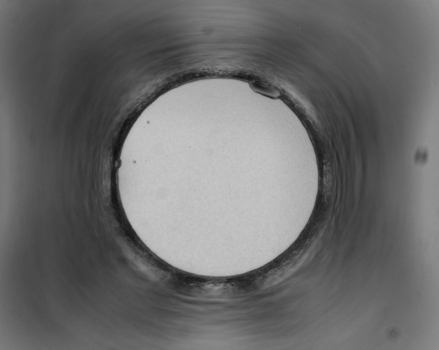 X0000100310493200807031150