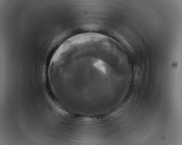 X0000100310494200807031150