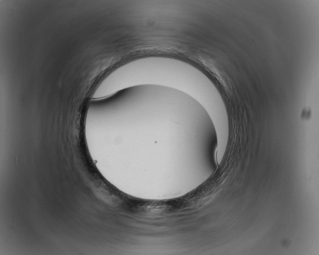 X0000100310495200807031150