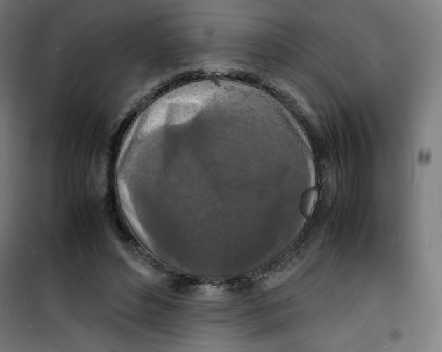 X0000100310496200807031150
