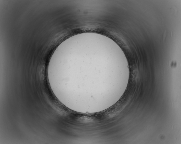 X0000100310498200807031150
