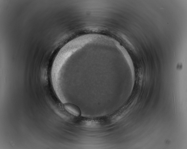 X0000100310500200807031150