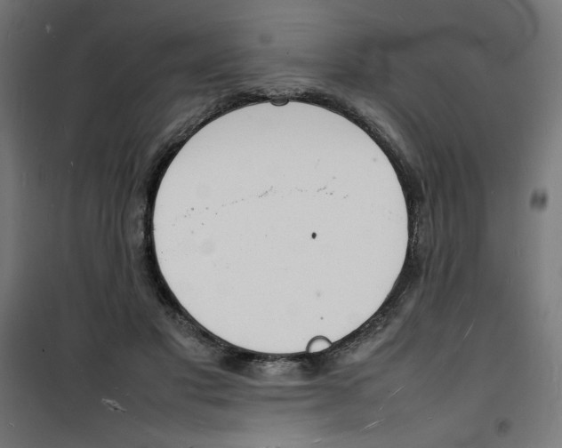 X0000100310501200807031150