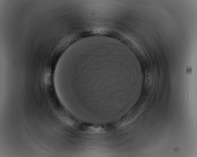 X0000100310502200807031150