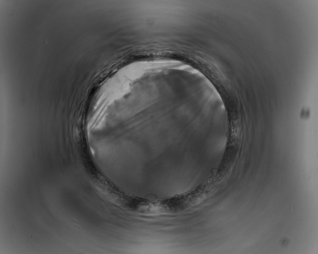 X0000100310503200807031150
