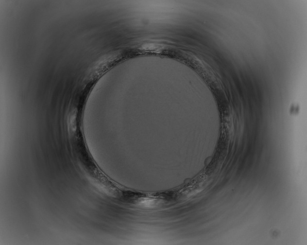 X0000100310504200807031150