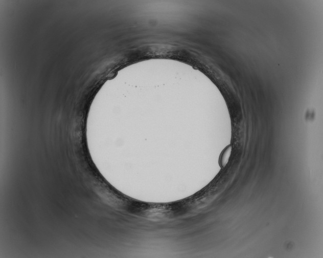 X0000100310505200807031150