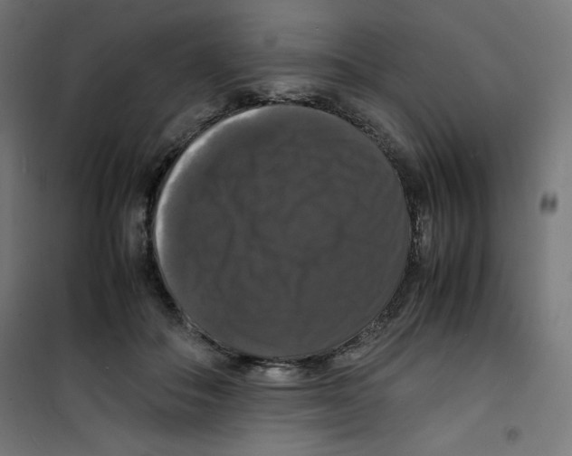 X0000100310506200807031150