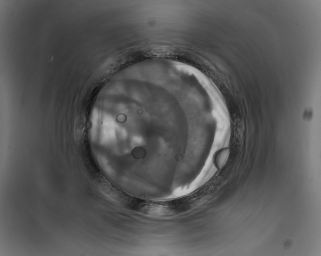 X0000100310507200807031150