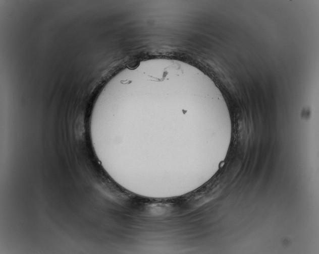 X0000100310508200807031150
