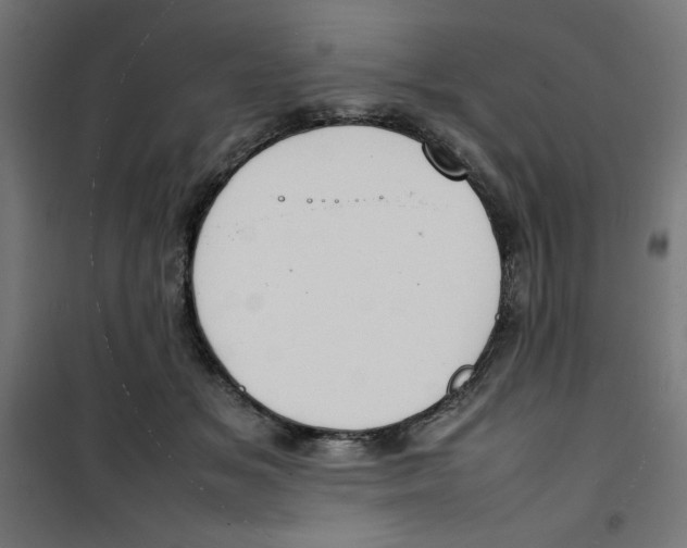 X0000100310509200807031150