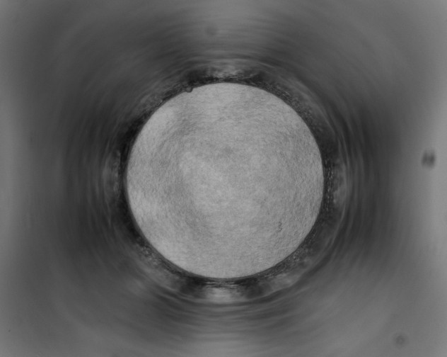 X0000100310510200807031150