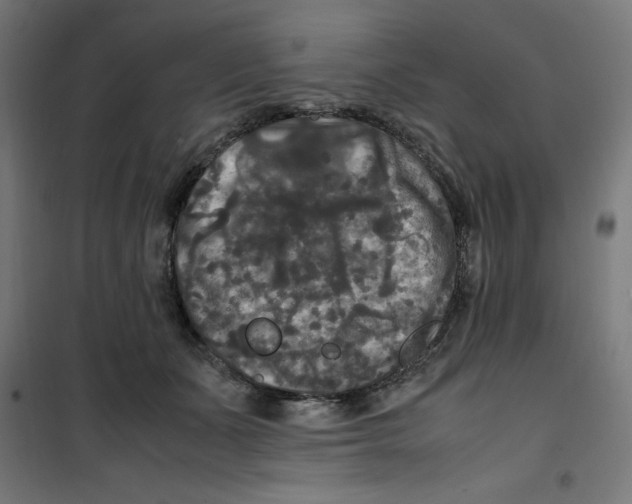 X0000100310511200807031149