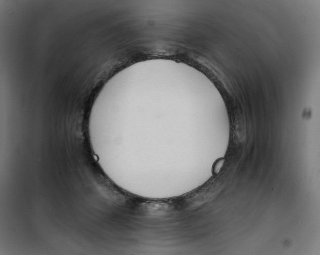 X0000100310512200807031149