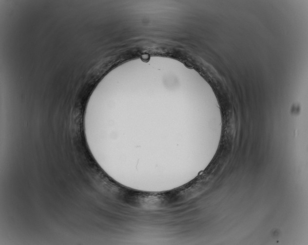X0000100310513200807031149