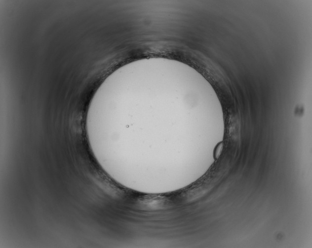 X0000100310514200807031149