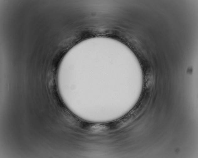 X0000100310515200807031149