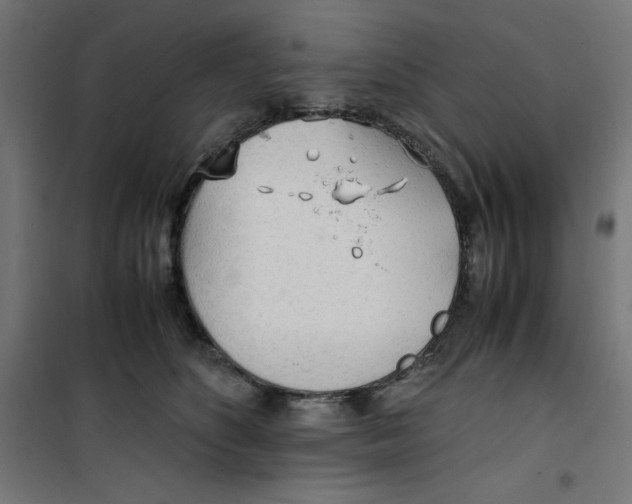 X0000100310516200807031149