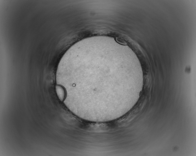 X0000100310517200807031149