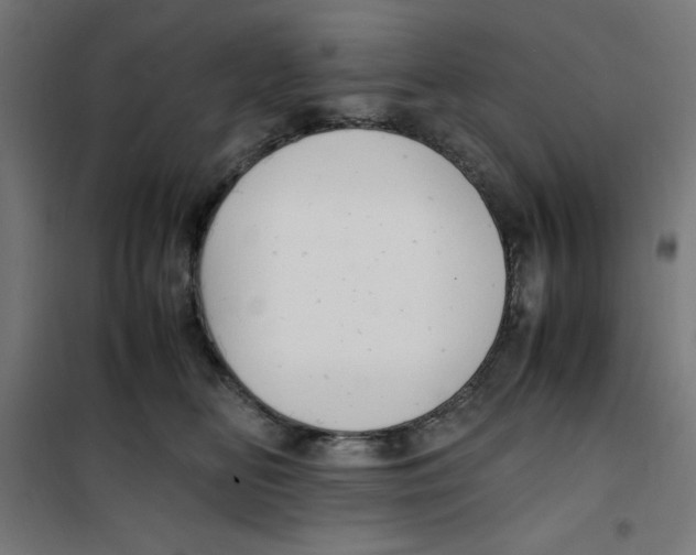 X0000100310518200807031149