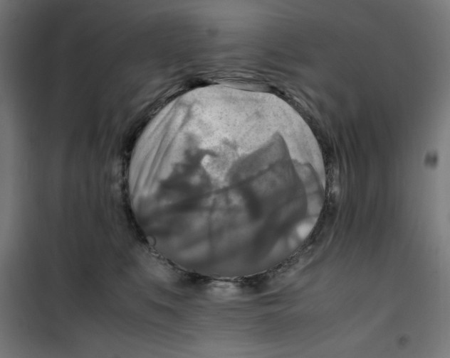 X0000100310519200807031149