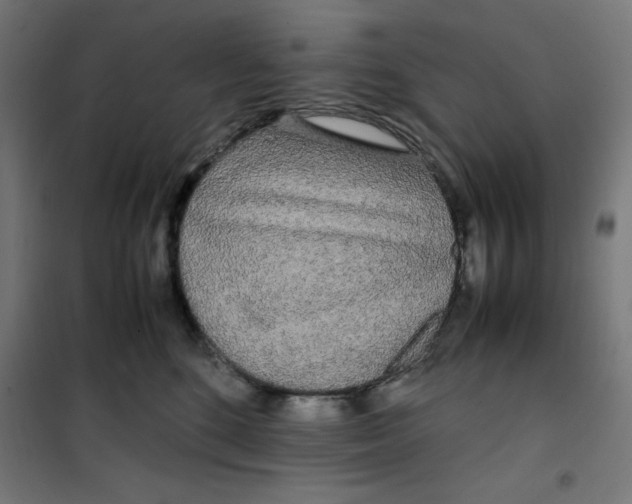 X0000100310520200807031149