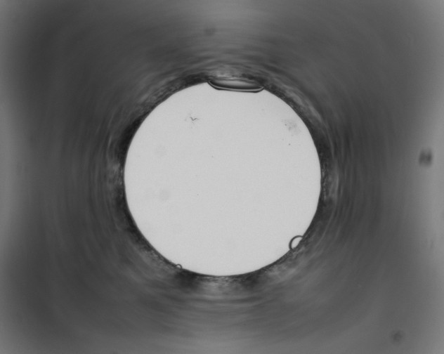 X0000100310521200807031149
