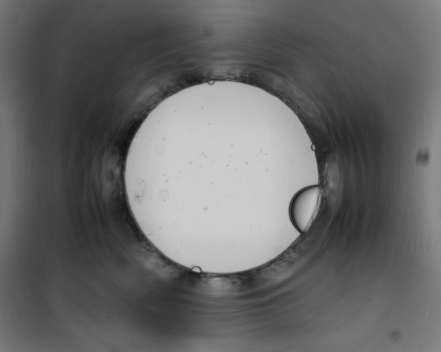 X0000100310522200807031149