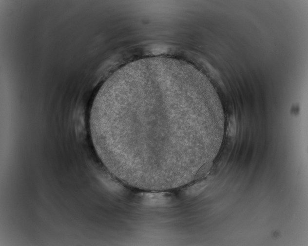 X0000100310524200807031149