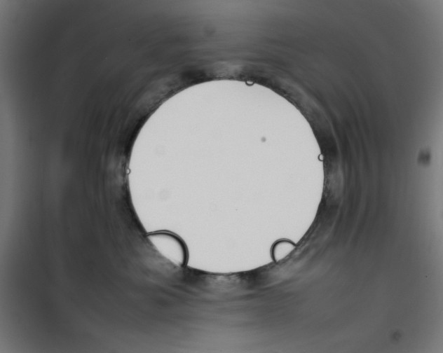 X0000100310525200807031149