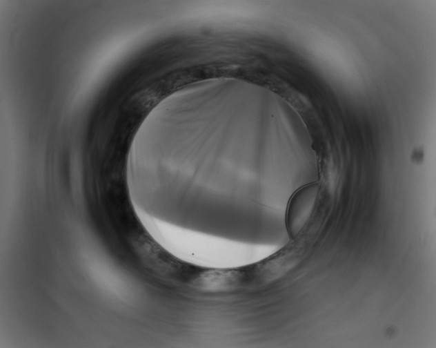X0000100310526200807031149