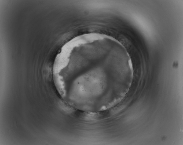 X0000100310527200807031149