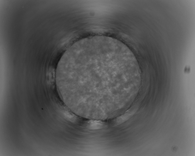 X0000100310528200807031149