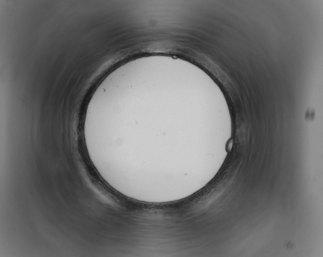 X0000100310530200807031149