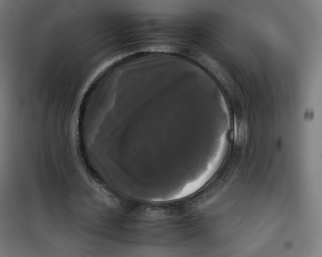 X0000100310531200807031149